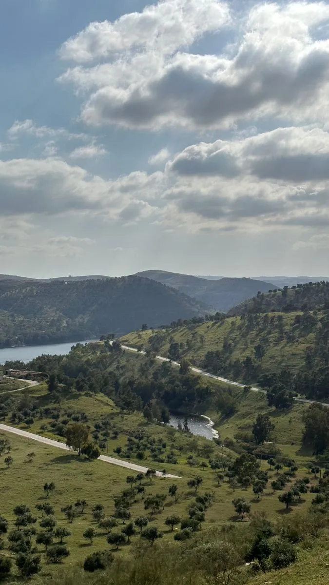 The Weather in Jordan A Journey Through the Seasons